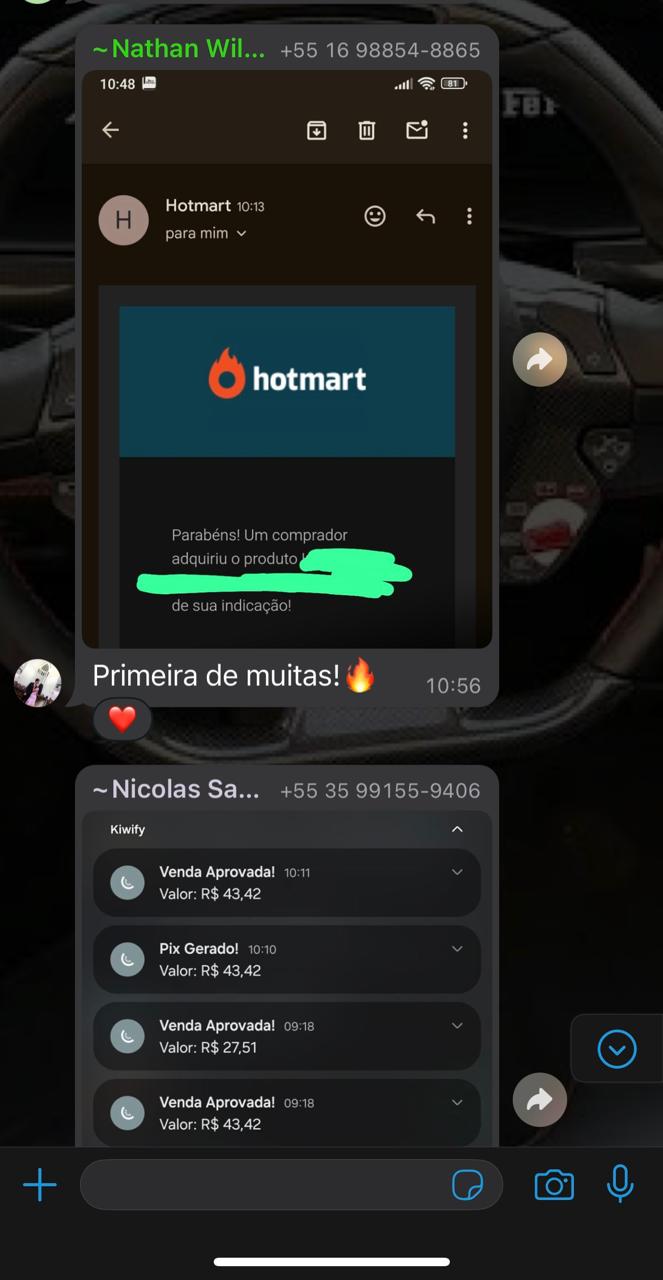 Print de resultado de aluno 11